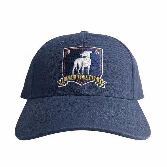 Other - Ted Lasso Navy blue adjustable cap with embroidered logo